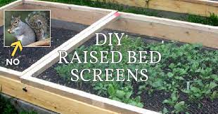 Diy Raised Bed Screens To Keep Pests