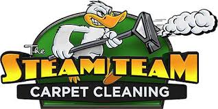 carpet cleaning steam team
