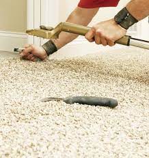 carpet restretching repairs in minot
