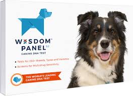 Wisdom Panel 3 0 Breed Identification Dog Dna Test Kit