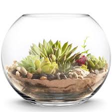 gl bubble fish bowl terrarium vase