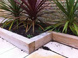 raised beds from new pine railway sleepers
