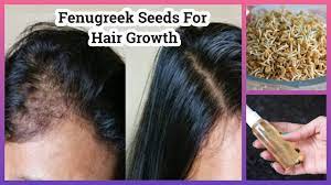 fenugreek seeds for hair growth