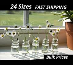 Mini Glass Vases 24 Sizes Little Clear