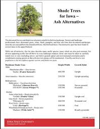 Shade Trees For Iowa Ash Alternatives