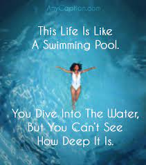 Below you will find our collection of inspirational, wise, and humorous old pool quotes, pool sayings, and pool proverbs, collected over the years from a variety of sources. Time For A Dip In The Pool Quotes Design Tips Dogtrainingobedienceschool Com