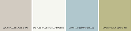 what colors coordinate with sw 7029