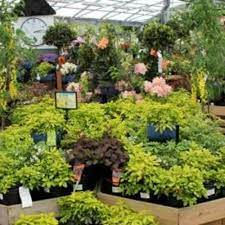 the best 10 nurseries gardening near