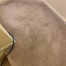 shamrock carpet upholstery cleaning