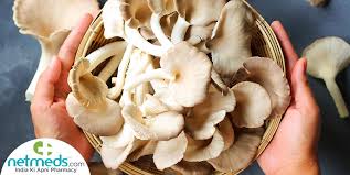 What are the side effects of oyster mushroom?