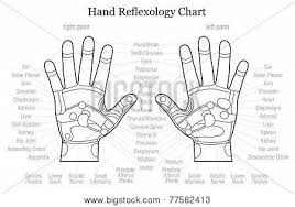 Hand Reflexology Vector Photo Free Trial Bigstock