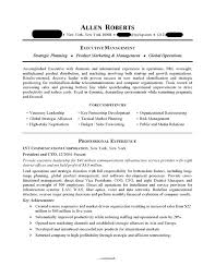 Ceo Executive Resume Sample Professional Resume Examples