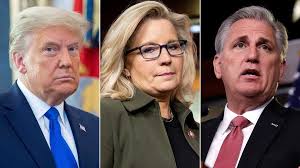 Liz cheney said that kevin mccarthy and mitch mcconnell — not donald trump — are the leaders of the republican party. Former President Trump Pushes For Primary Challenger To Gop Rep Cheney After Her Vote To Impeach