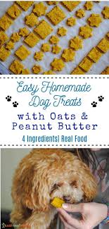 homemade dog treats with rolled oats