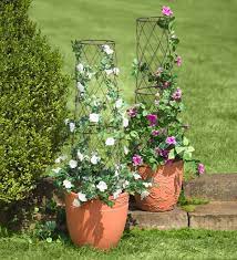 This can also be purchased at a hardware store. Metal Planter Pot Trellis Plowhearth