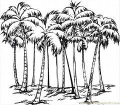 This coconut tree coloring page is for your children to learn glitter coloring and drawing easy and fast. Coconut Tree 3 Coloring Page For Kids Free Trees Printable Coloring Pages Online For Kids Coloringpages101 Com Coloring Pages For Kids