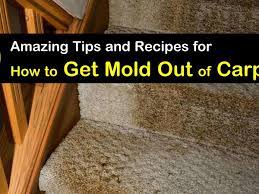 9 amazing ways to get mold out of carpet