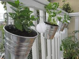 creating functional balcony herb garden