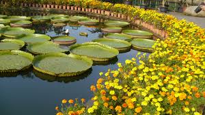 best botanical gardens in asia and oceania