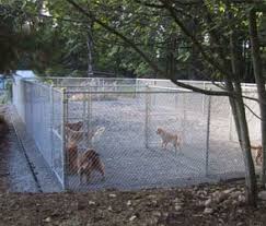 permeable dog kennel flooring