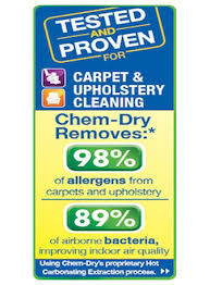 carpet cleaners floor cleaning