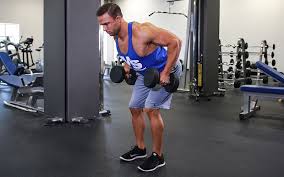 bent over dumbbell row video exercise