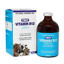A prefilled syringe is a syringe that comes with medication inside. Troy Vitamin B12 Injection Vet N Pet Direct