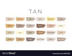 Tan Paint Color Swatches With Shade