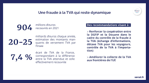 Sénat on Twitter: "1 -📢 Fraude et évasion fiscales : le Sénat fait les  comptes... La mission d'information sur la lutte contre la fraude et  l'évasion fiscales de la #ComFinSénat a présenté