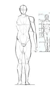An elaborate tutorial on how to draw the male body (for beginners and advanced artists). Male Anatomy Drawing Exercise By Missdelarocha On Deviantart