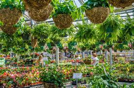 strange s florists greenhouses and
