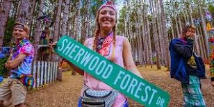 where-do-you-fly-into-for-electric-forest