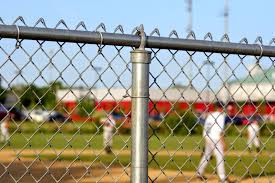 the fence line chain link fencing
