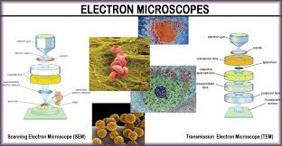 what is an electron microscope 4 types
