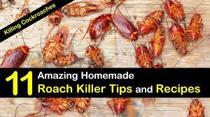 Believe it or not, you can. Killing Cockroaches 11 Amazing Homemade Roach Killer Tips And Recipes