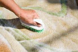 best diy way to deep clean carpet at