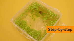 Controls what comes in and out of the cell. How To Make A Model Plant Cell Bbc Bitesize