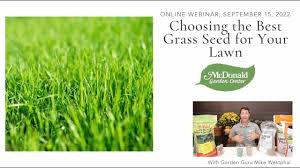 best gr seed for your lawn