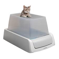 Automatic litter boxes are more discreet and eliminate the need for manual scooping. Petsafe Scoopfree Covered Self Cleaning Cat Litter Box Target
