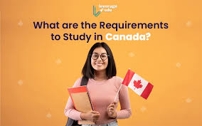 requirements to study in canada 2024