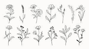 one line drawing flower images browse