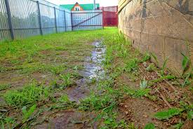 how to fix a muddy yard prevent water
