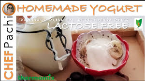 recipe homemade lactose free yogurt