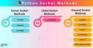 python network programming what is