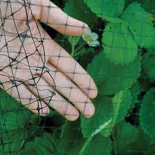 bulk roll of garden netting on at