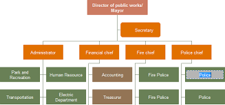Administrative Structure Of A Hospital