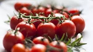 tomato farming in africa