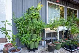 Container Vegetable Gardening Guide
