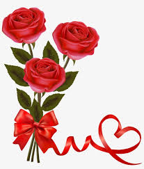 red rose png flower image love