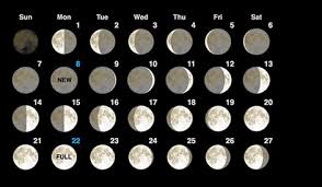 Blue Moon Calendar